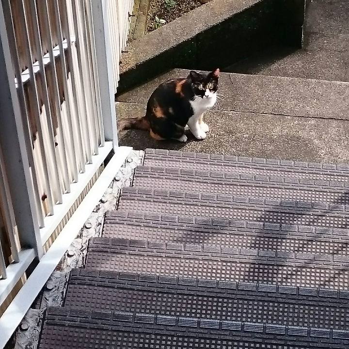 E5d928c5 83fd 43b5 a6c1 f380410810e0