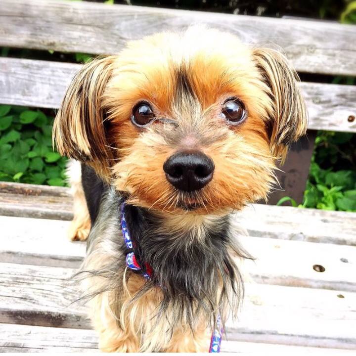 E5d95d8a 62e9 4579 b7c1 7ff080db8514