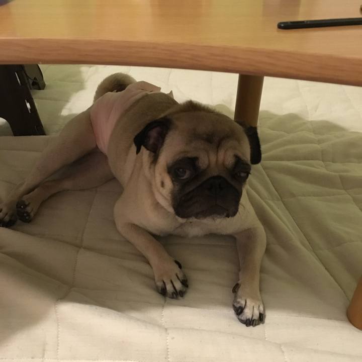 E5da1357 f740 48d1 b784 6bc0e0fbc83c