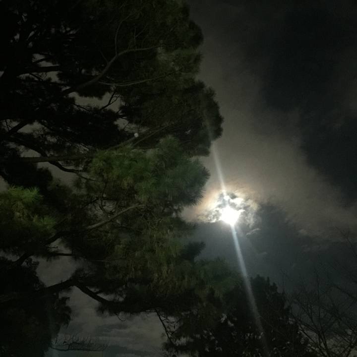 E5da3ed1 2ada 4faa b16d 860e3de0bd17