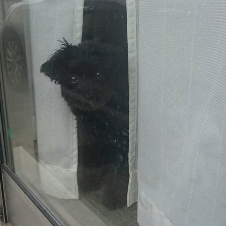 E5da889c 6a56 4545 a522 70b9ef1eb5b5