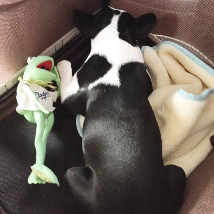 E5daa7d2 c92f 4736 b765 4928a44e22ba