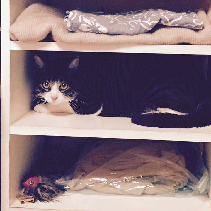 E5dac127 c442 4034 911e ac0b424653b7