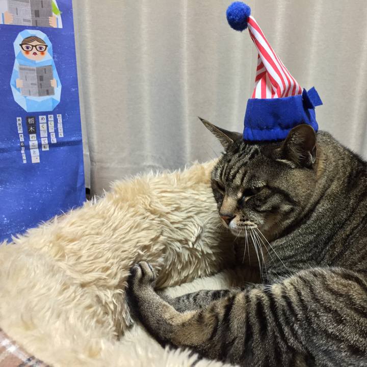 E5dace2c 46cb 4b83 849e e47df35cfdcb