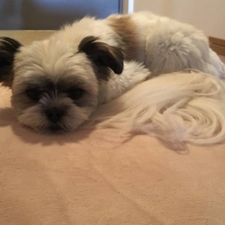 E5db0a2b 5d3e 4b31 b5f6 256a6c71f95f