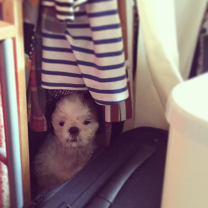 E5dbbb76 465c 41f1 bfa0 0819b1a18070