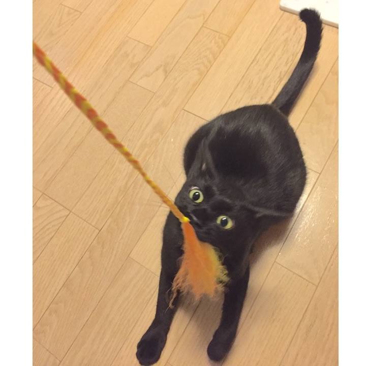 E5dbe54d 22db 456d 8e43 017f1d4f2da0