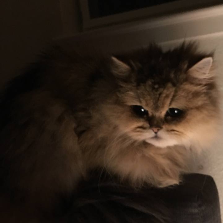 E5dbf3fd 0853 4fb9 8aac b0dca14aa3dd