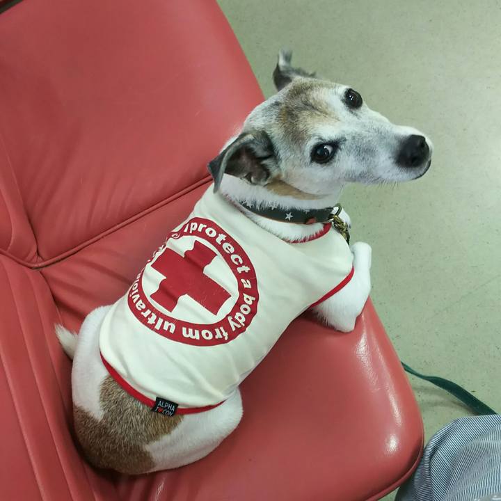E5dbfcf9 713e 442e 8e04 e2b6be9f7c5f