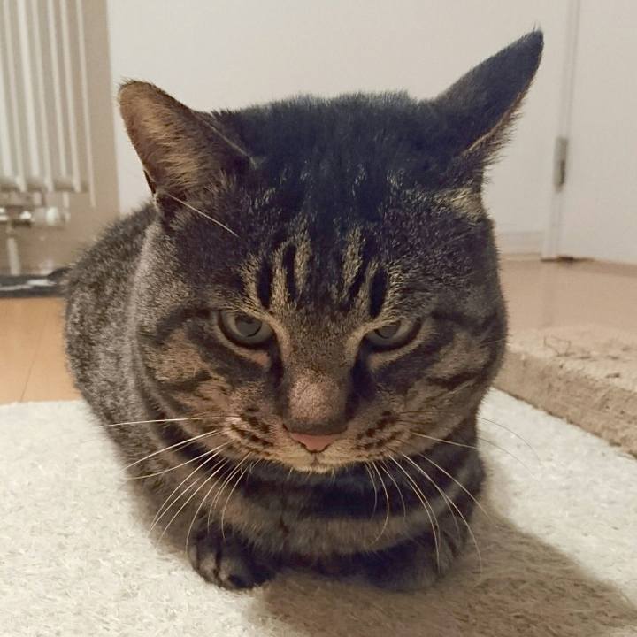 E5dc5c15 c435 46fc 9037 d1ba084fad66