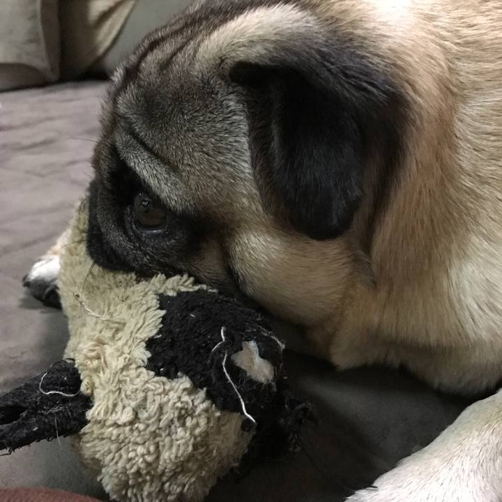 E5dcad5c c1d7 4e61 a434 b614c2801a20