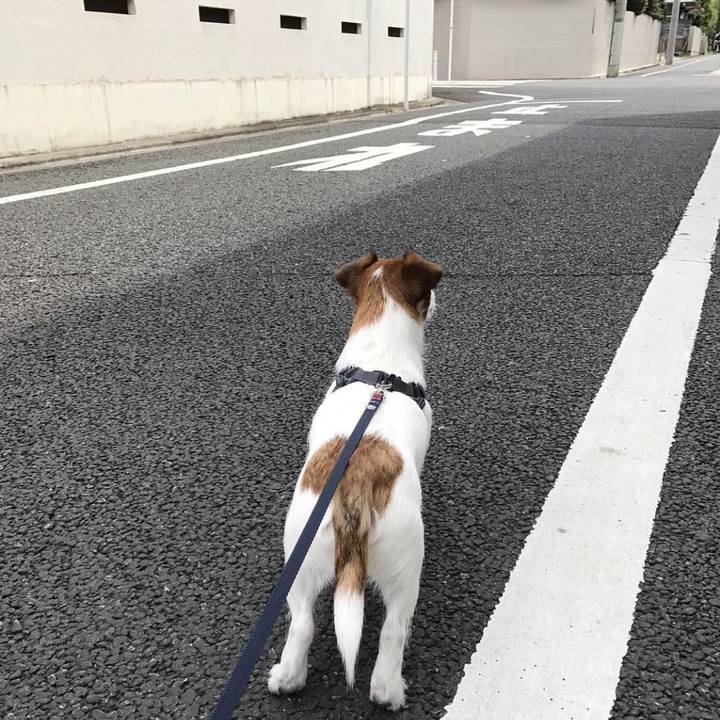 E5dcfad5 d842 4230 b38e 04fb18b9b6c2