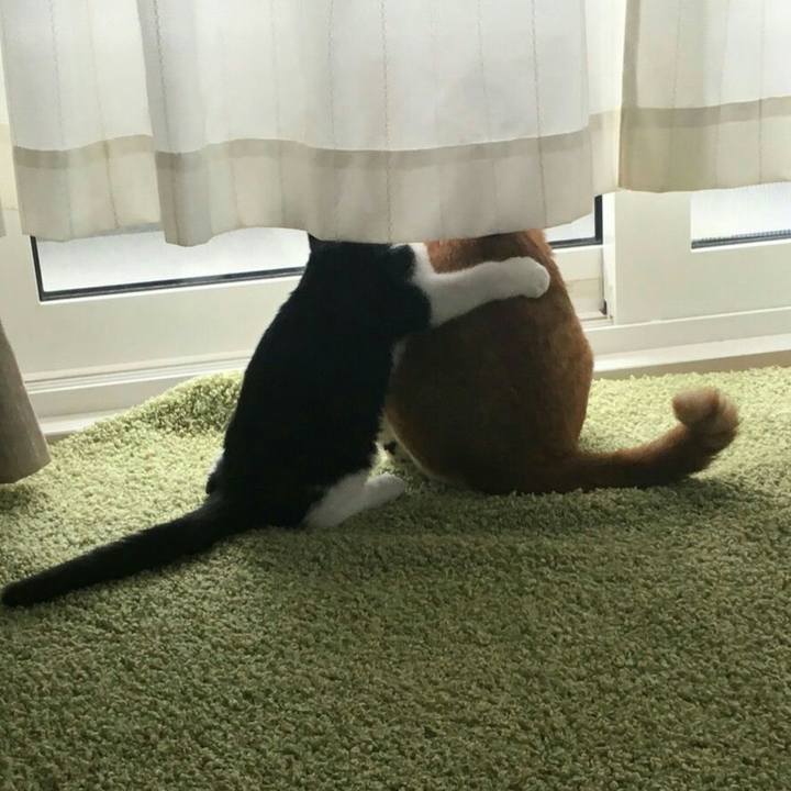 E5dda90a 5696 49df 9974 2ea7f04e66c5