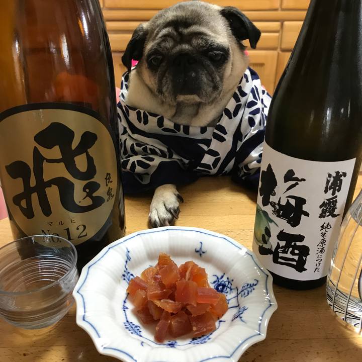 E5ddb9b3 3967 49d1 98cb c65e5bfceb1f