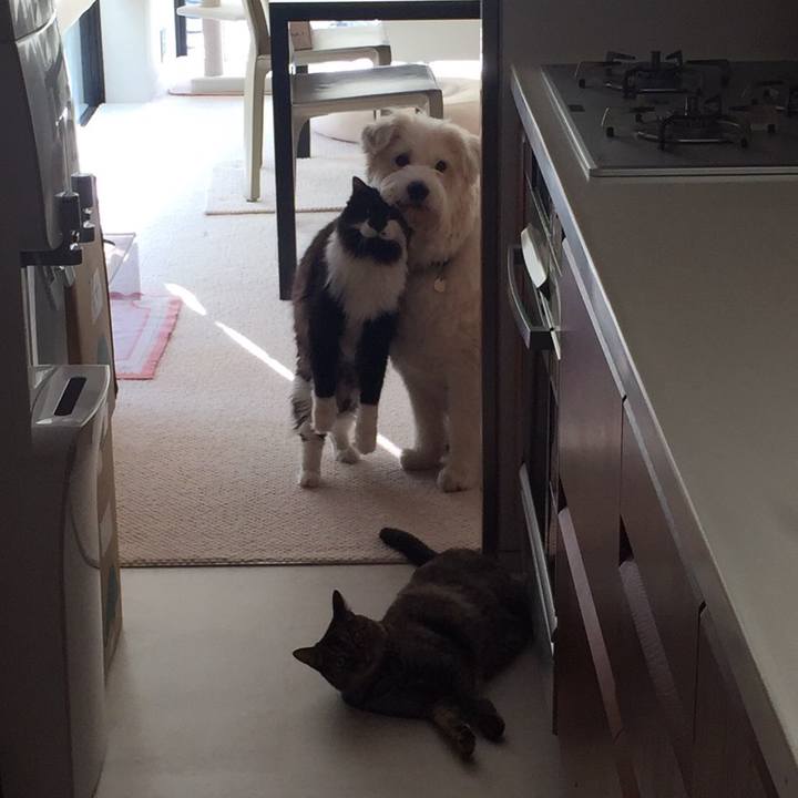 E5de179d 5536 40d4 a87b 2a9cee22ca87