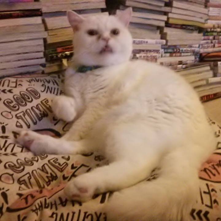 E5de6fbf b536 4ed7 83d6 7b65aac6471a