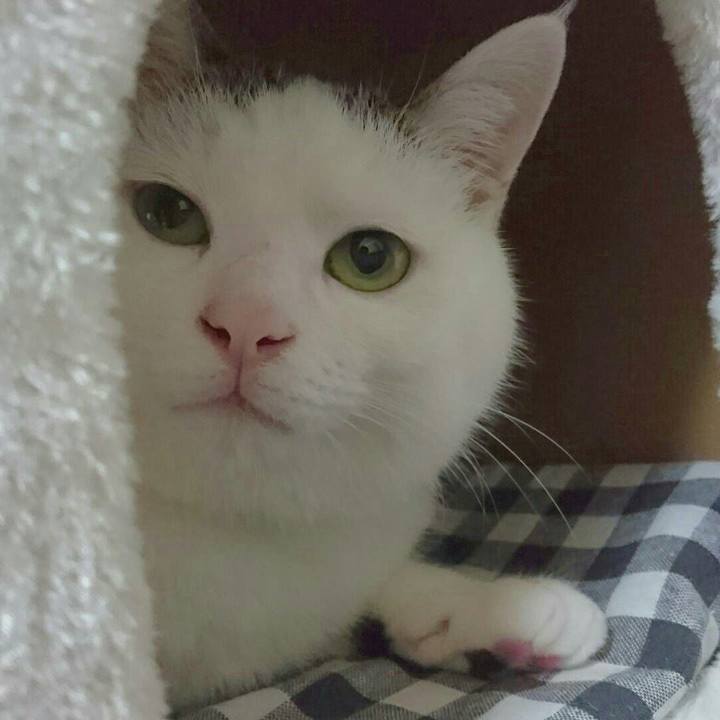 E5de6fec b8b6 49bc 9b84 c30769729ca7