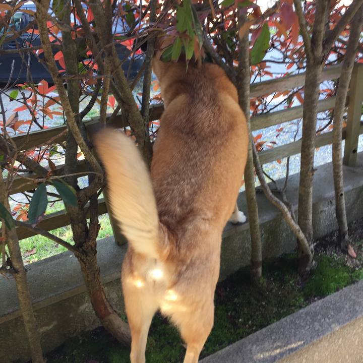 E5df9868 fe0c 400f 8fcb 8cd7ed04462e