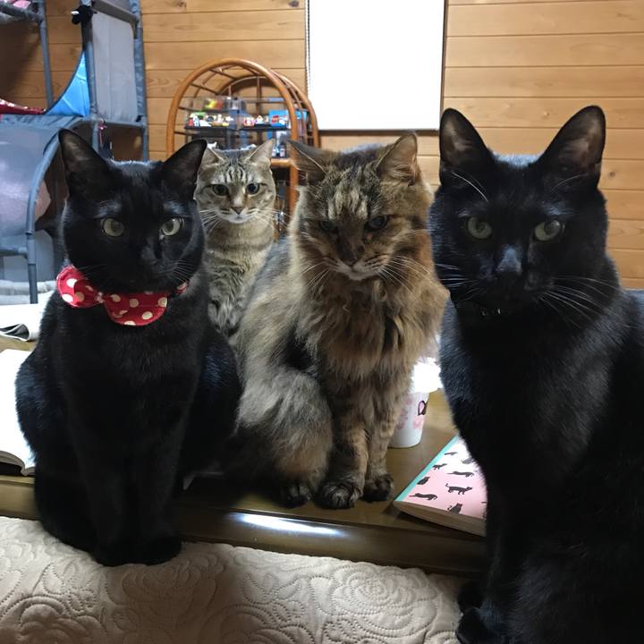 E5dfa92f 6be9 4879 8ce5 68c4123d12fd