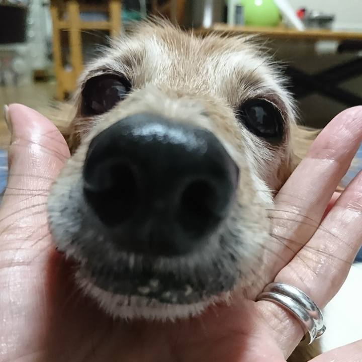 E5e0130d 0b9c 4c81 8666 07e1823af9ce