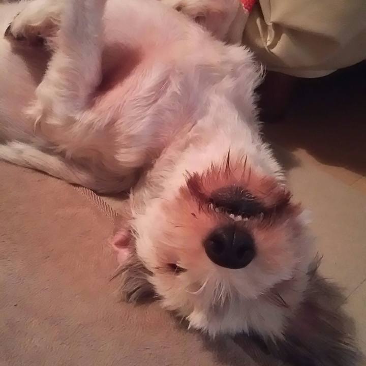 E5e18b07 71e7 4fdc 8eed bb412f900430