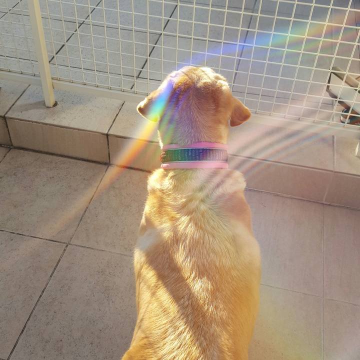 E5e18e2c 515a 48ac 9d12 aa7cc70259ea