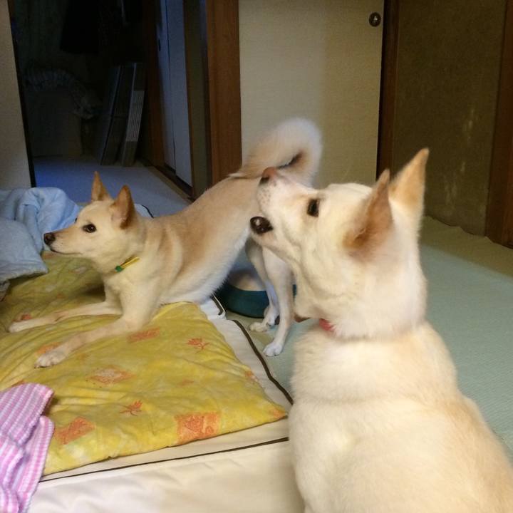 E5e193b2 d870 428f 90af 1956e83e6859