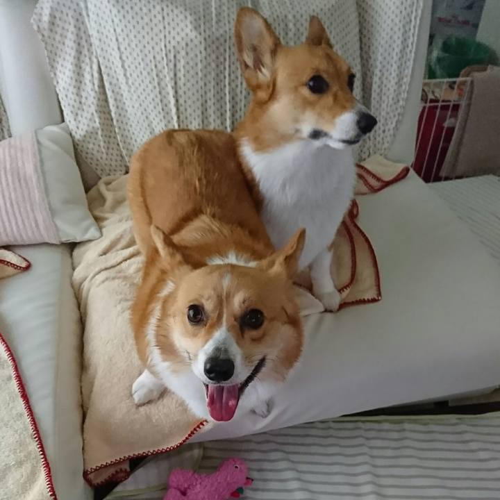 E5e1e464 f27c 49fb b4cd f3f06b7078eb