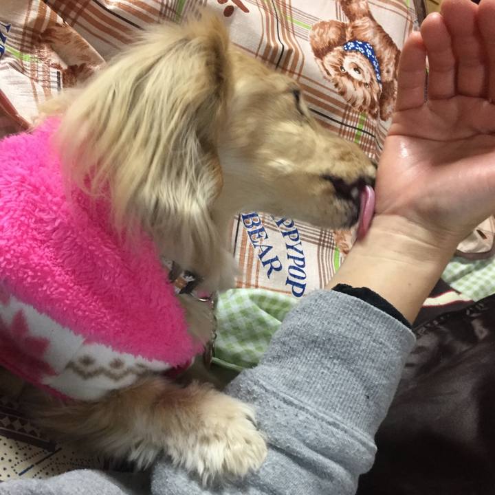 E5e2746b 9f99 42c3 8453 2e2053ba91d0