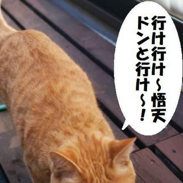 E5e306c2 7d00 4f88 b2bb 97afab23aea0