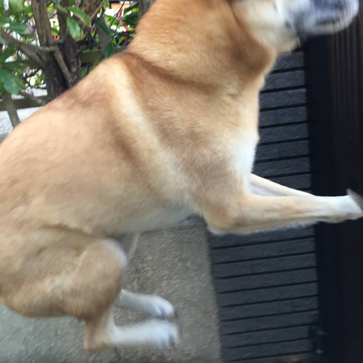 E5e31f0f a4e3 4b4c af38 9b3d1c540a46