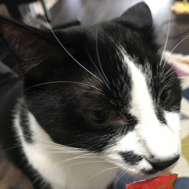 E5e3845f caf3 469a a495 7863d20812a1