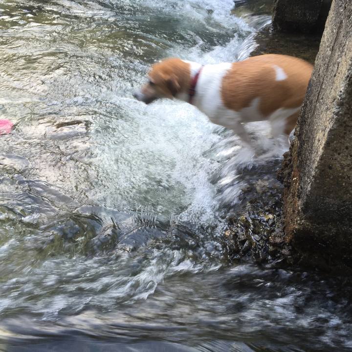 E5e3922d e042 4221 bd47 707765a4b6aa