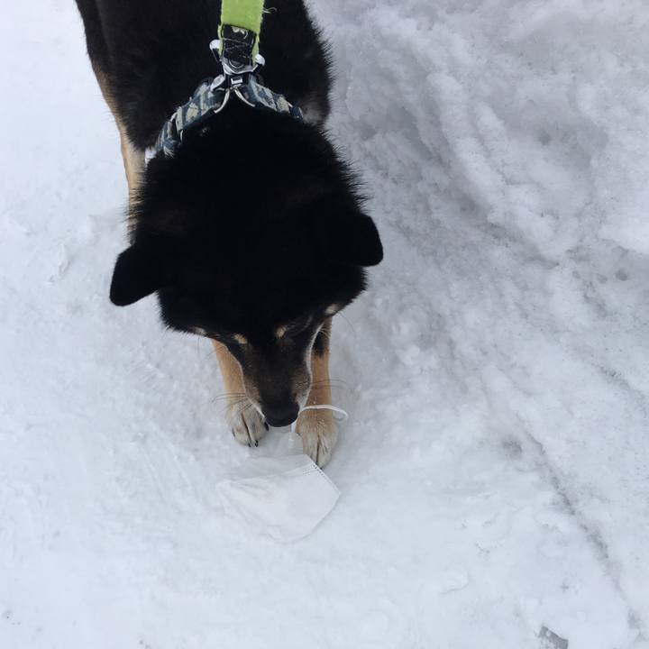 E5e3b205 f80d 4267 b9e3 1d9054c4e559