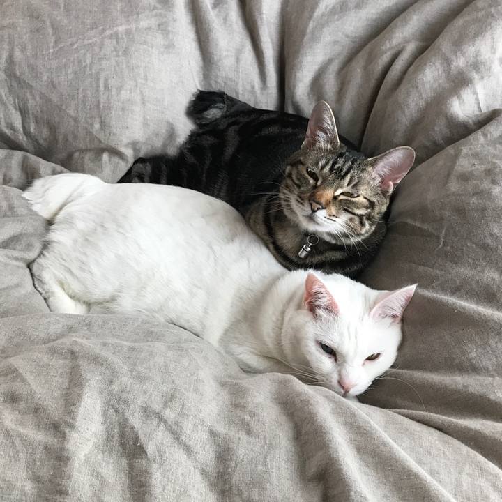 E5e42744 df3b 47bf 8401 4d1a5453c81a