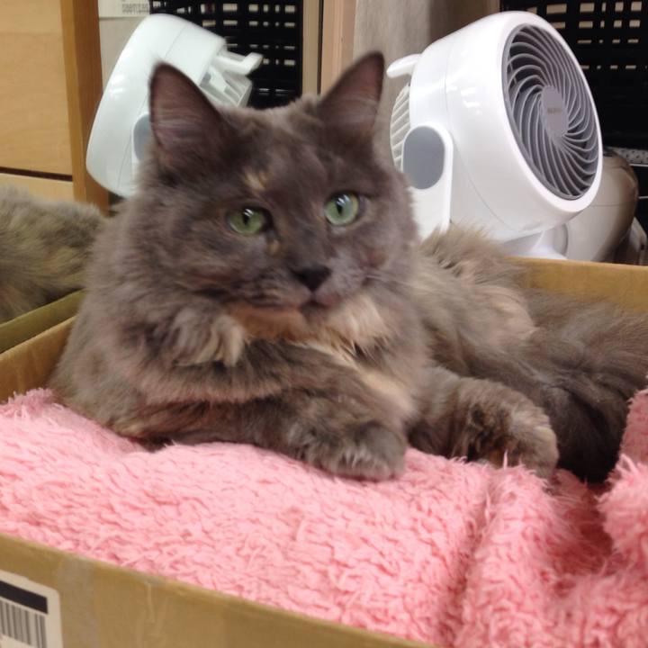 E5e42815 c7ab 4a28 b230 8ada776c1909