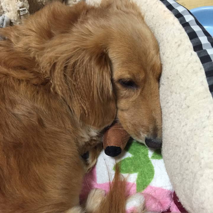 E5e442e3 09bc 4148 9d32 3856328d449d