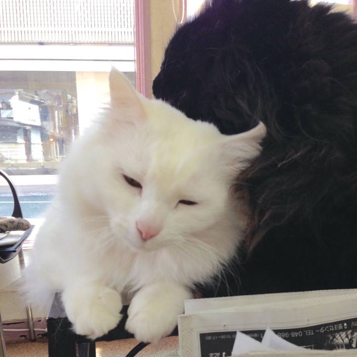 E5e446ce 2a81 4878 8df3 2e78e52438b2