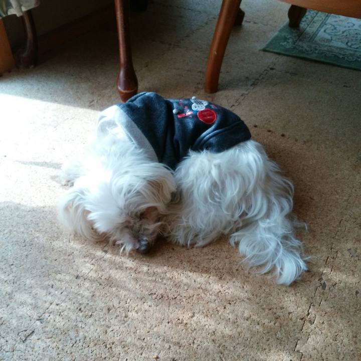 E5e4d89a 55b8 4734 85fa e6e442b92722