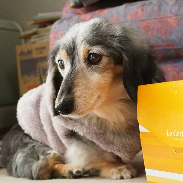 E5e51132 4c87 48e6 ab20 aebc1784f15f