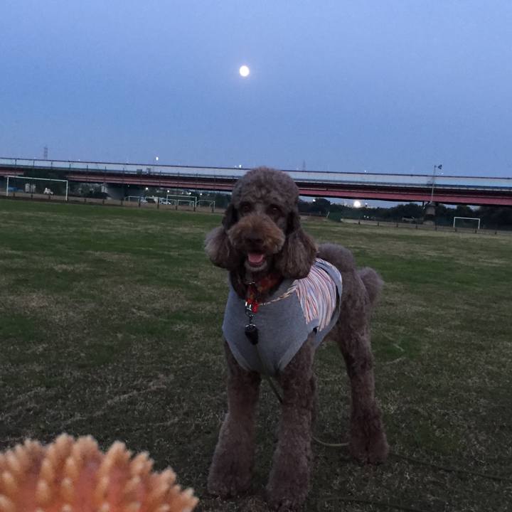 E5e541e2 c8a7 40fe 976b 5402c0ac9c4c