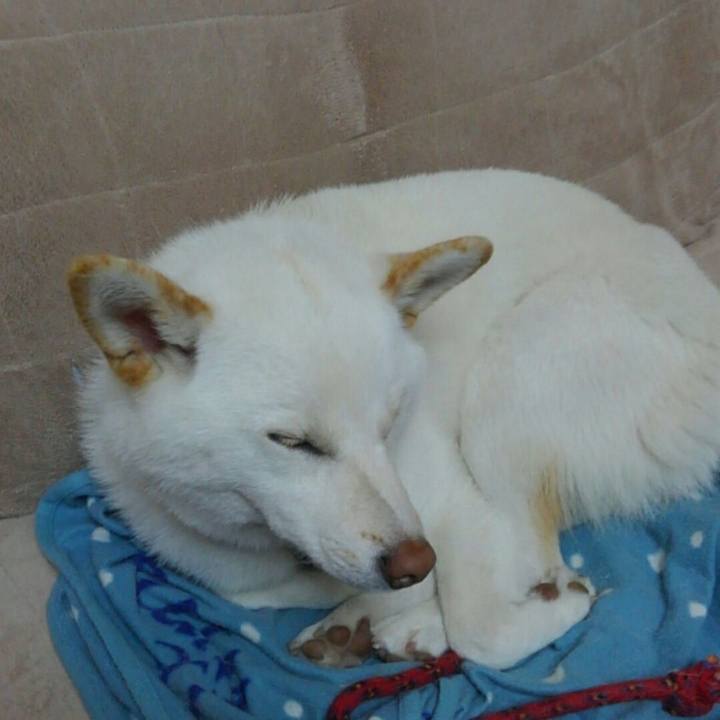 E5e5e1ee fbee 4264 8406 cb5470a6ce07