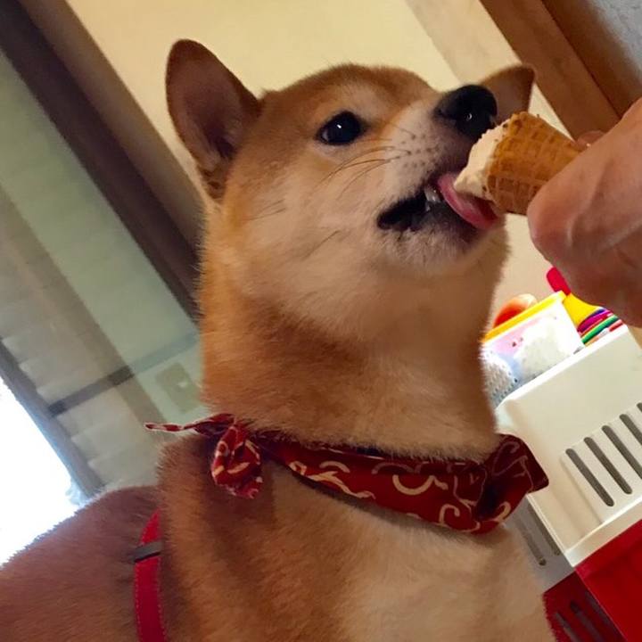 E5e5e617 78d0 4d3c 8c05 09ff30dd69ee