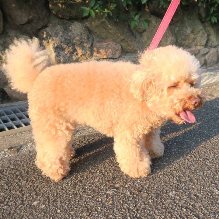 E5e5eea6 49de 494e b6a1 2f7cead93318