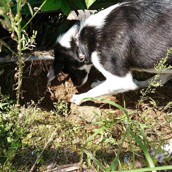 E5e72a66 1487 4b46 af2f 45096633c648