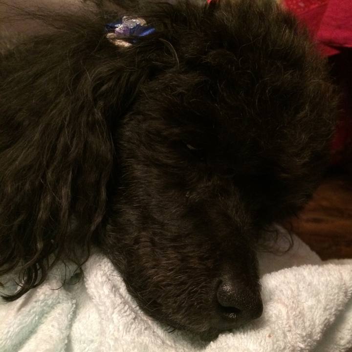 E5e74ea4 1f4c 414d 859b 762961f25bcf