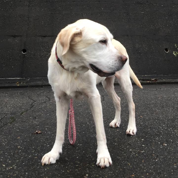 E5e75885 7fc6 4062 bcb6 20797b1d3d03