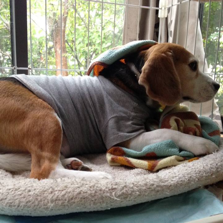 E5e76b8a 1460 4c5a 99fb 2aa7153e5eef