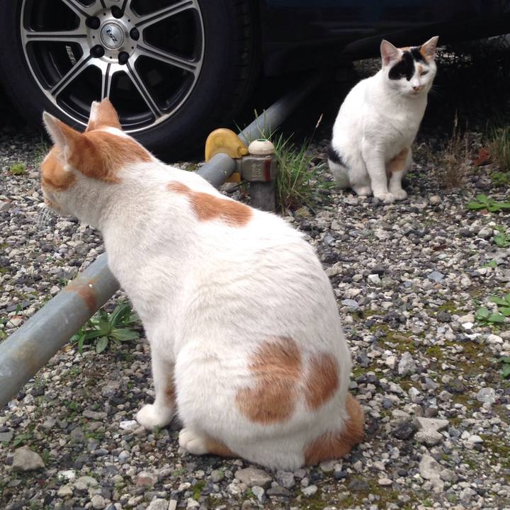 E5e7a957 40cb 4239 a706 91d504efbba3