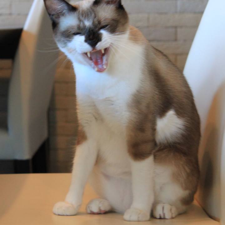 E5e7ab85 f947 4be1 b097 77d2d72fa16a